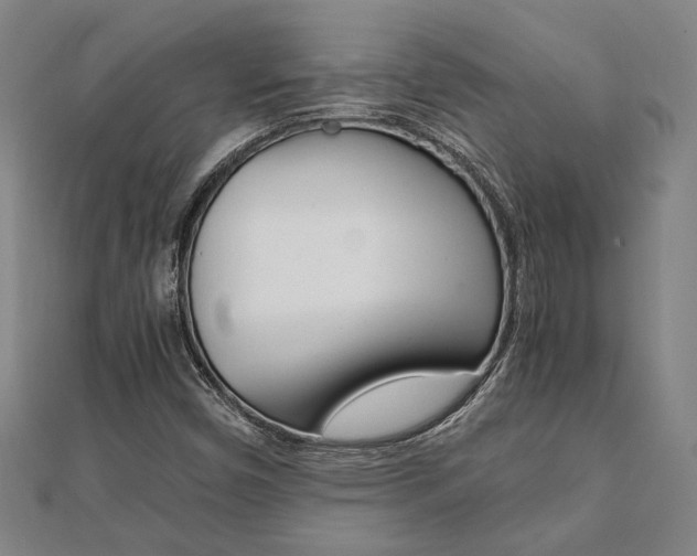 X0000112051450200908040940