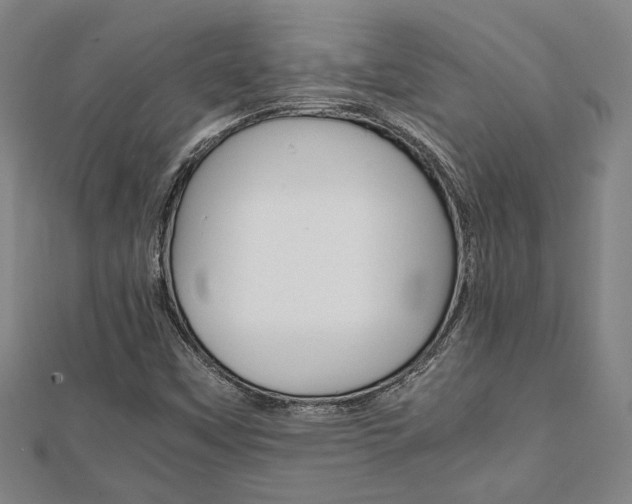 X0000112051451200908040940