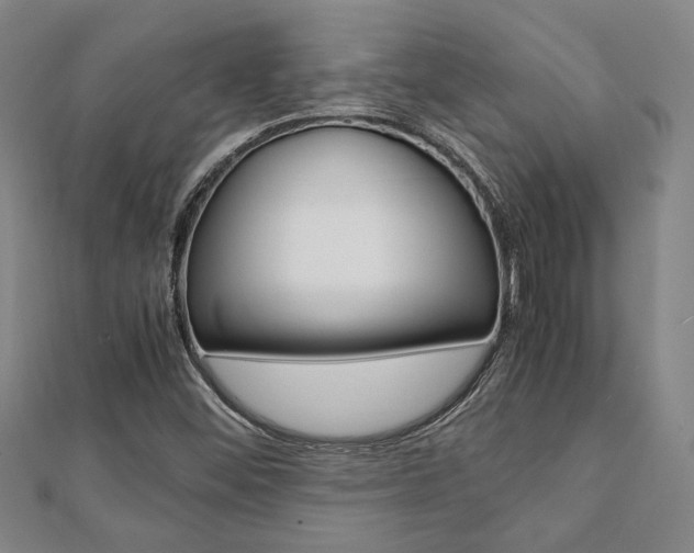 X0000112051452200908040940