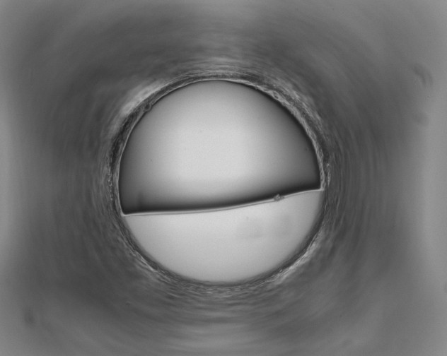 X0000112051453200908040940