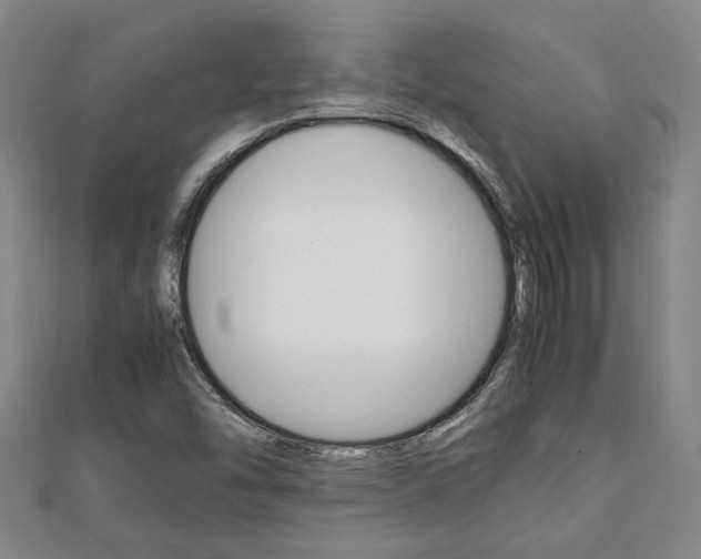 X0000112051454200908040940