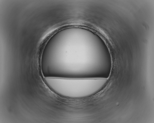X0000112051456200908040940