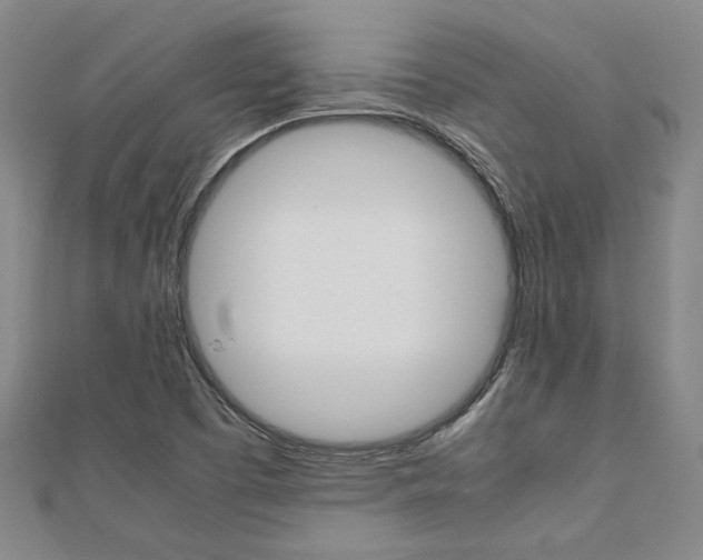 X0000112051457200908040940