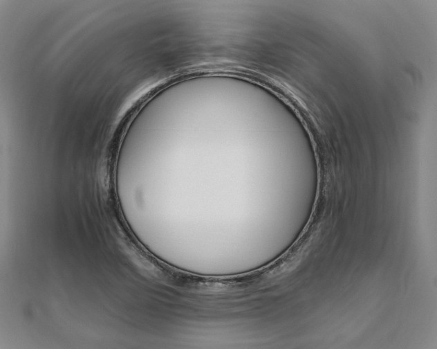 X0000112051458200908040940