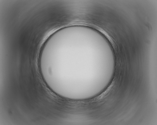 X0000112051461200908040940