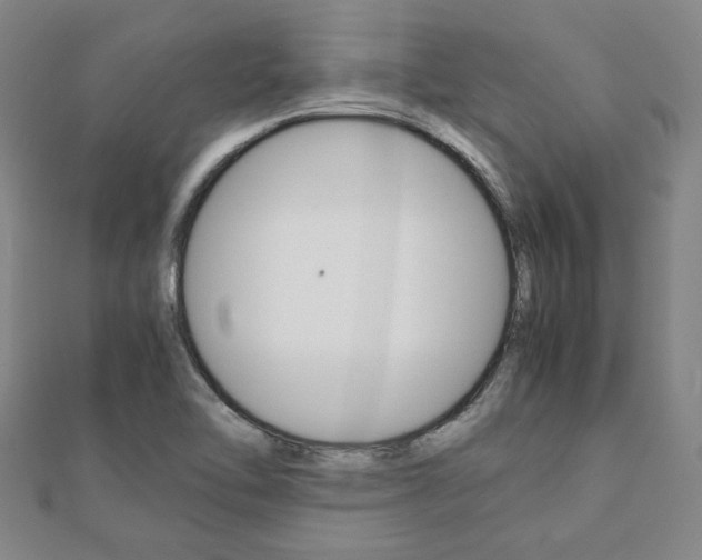 X0000112051462200908040940