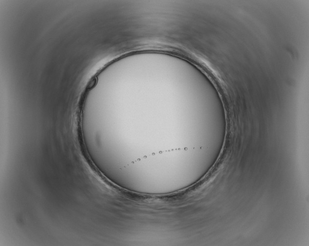 X0000112051463200908040940