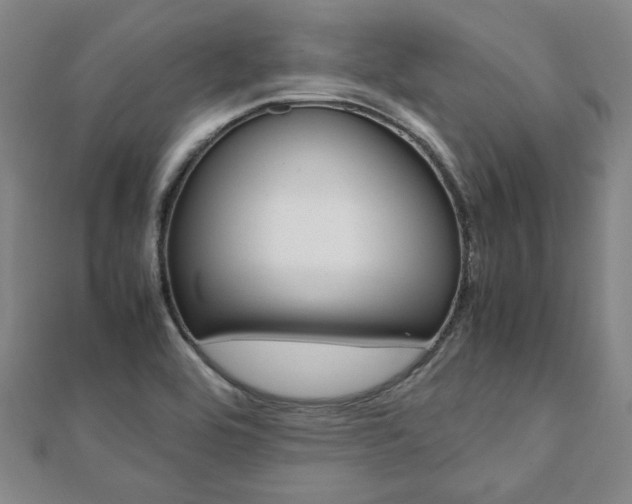 X0000112051464200908040940