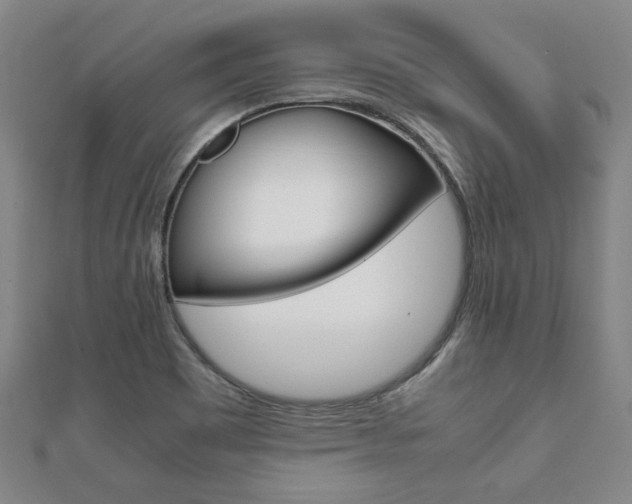 X0000112051465200908040940