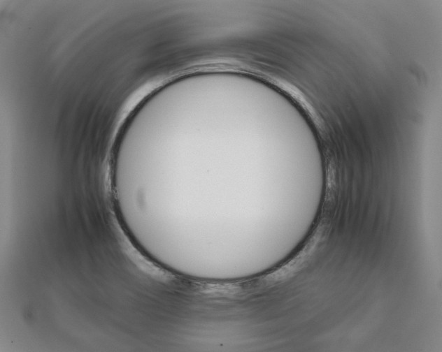X0000112051466200908040940