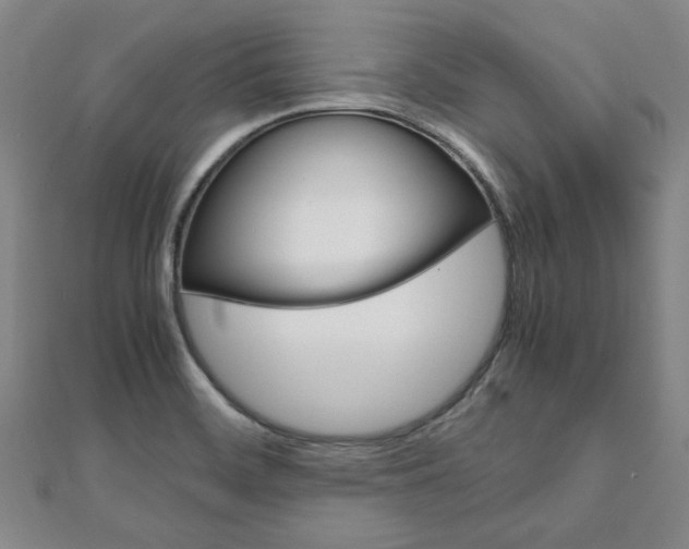 X0000112051468200908040940