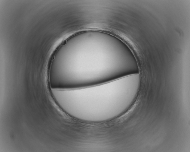 X0000112051469200908040939