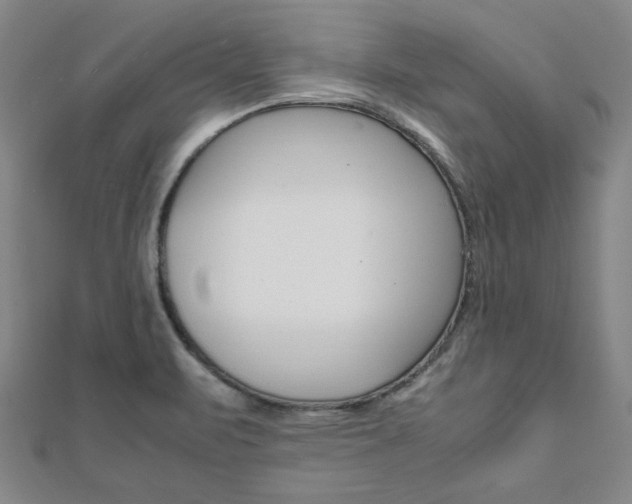 X0000112051471200908040939