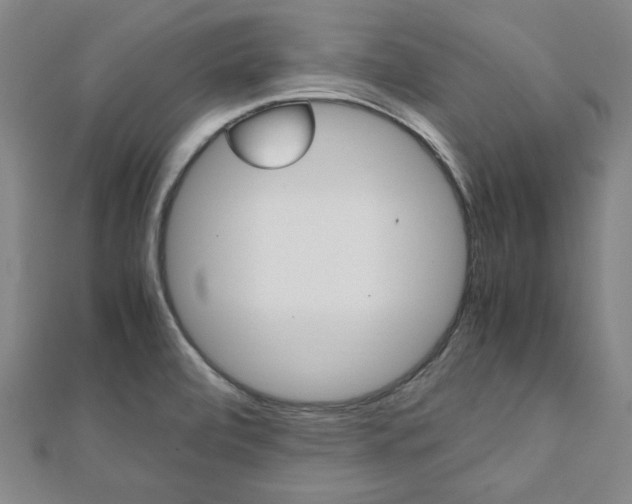 X0000112051472200908040939