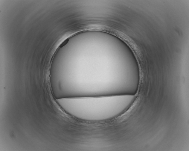X0000112051473200908040939