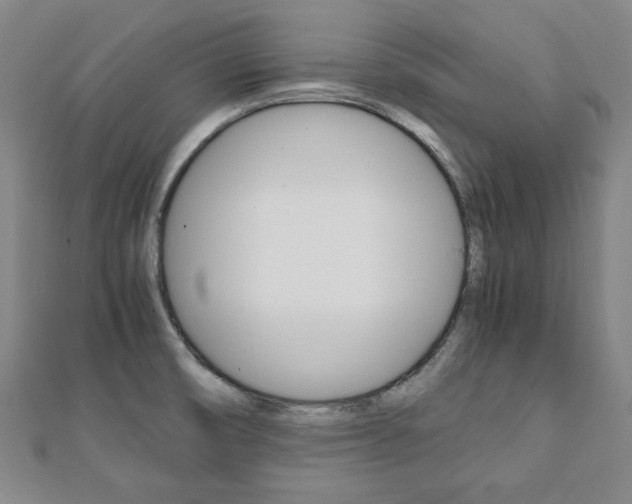 X0000112051474200908040939