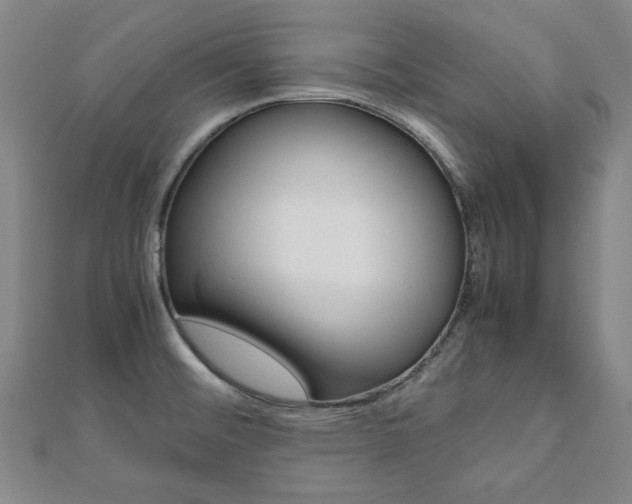 X0000112051476200908040939