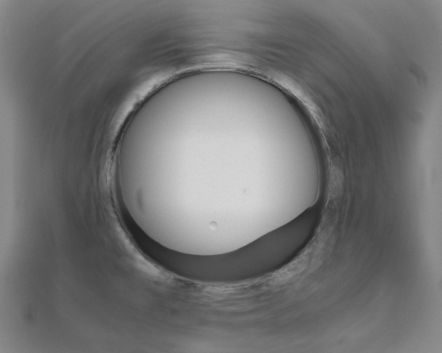X0000112051477200908040939