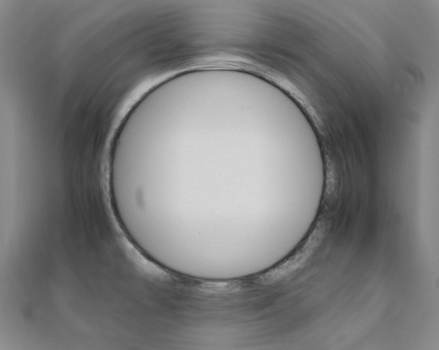 X0000112051478200908040939