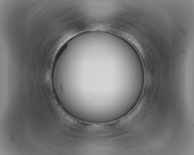 X0000112051481200908040939