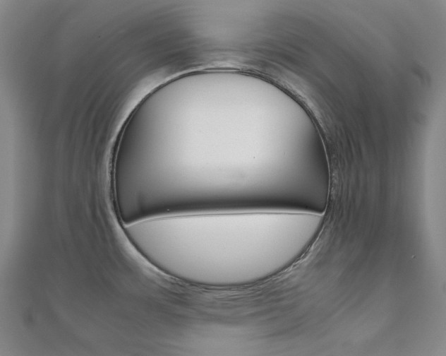 X0000112051483200908040939