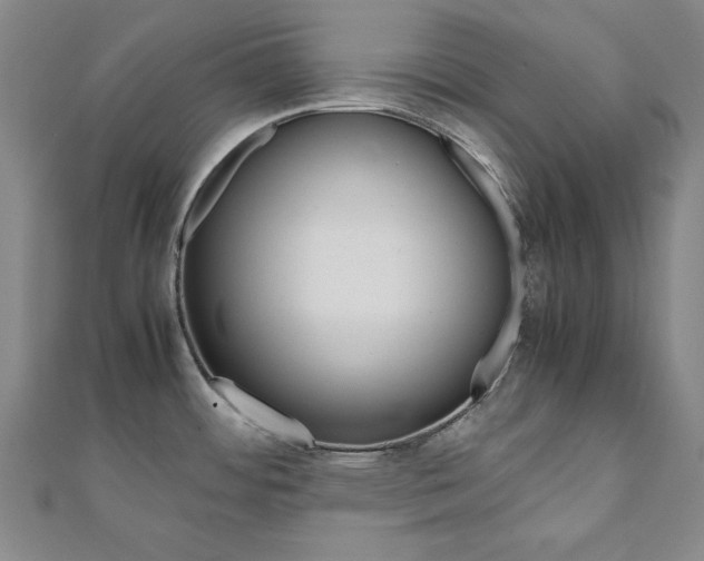 X0000112051484200908040939
