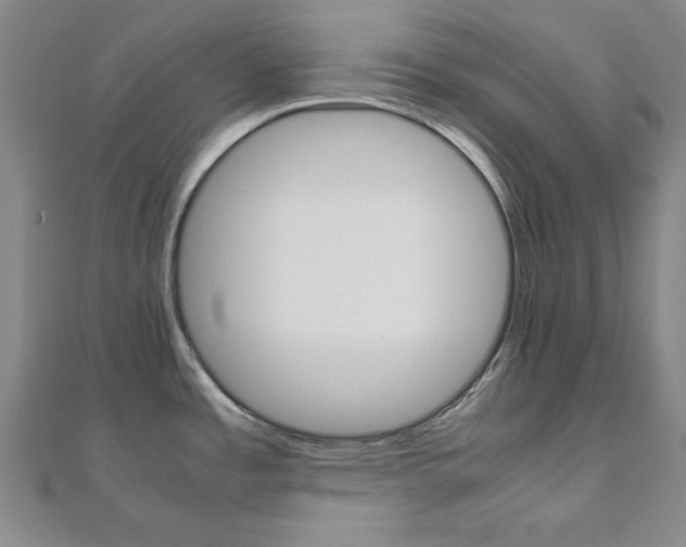 X0000112051485200908040939
