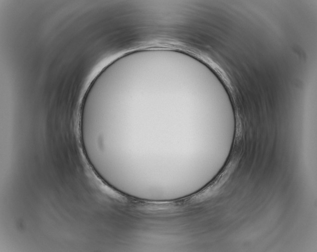 X0000112051486200908040939