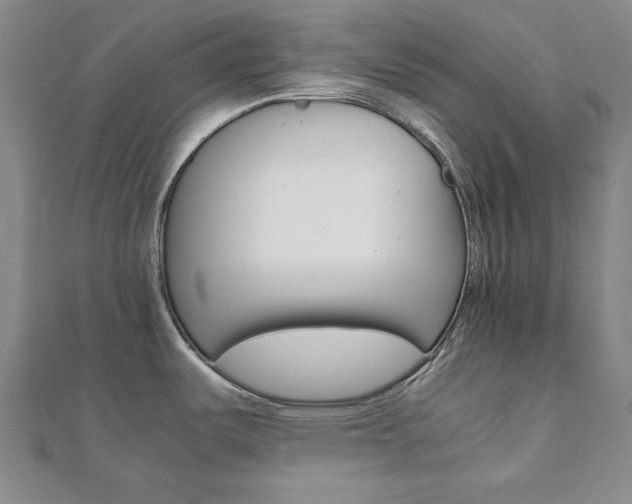 X0000112051487200908040939