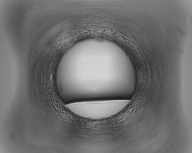 X0000112051489200908040939