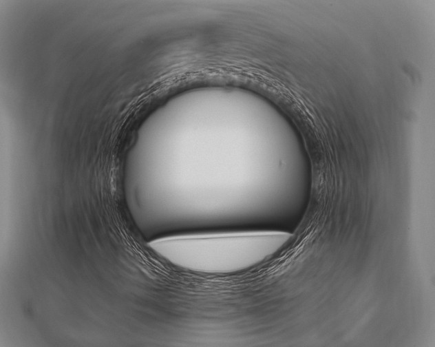 X0000112051490200908040939