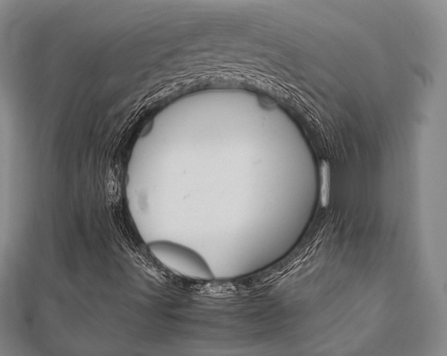 X0000112051491200908040939