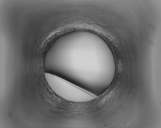X0000112051494200908040939