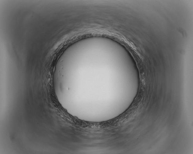 X0000112051495200908040939