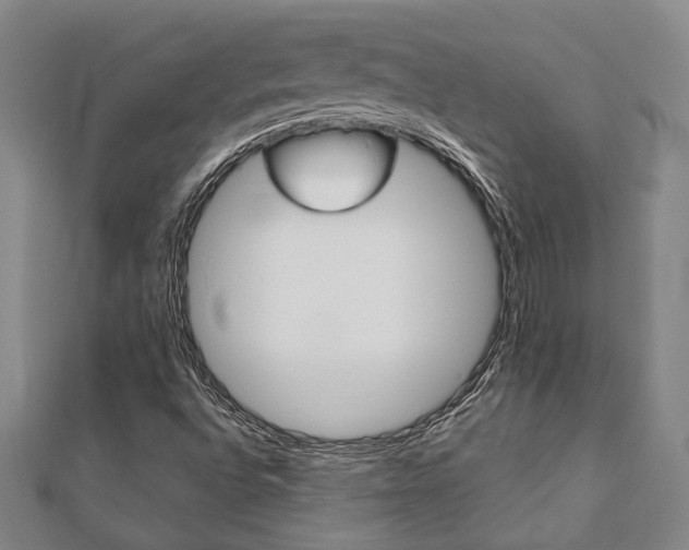 X0000112051496200908040939