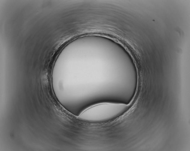 X0000112051497200908040939