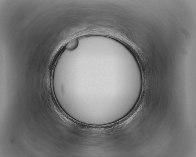 X0000112051498200908040939