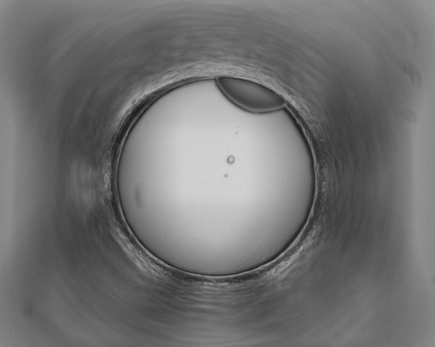 X0000112051499200908040939