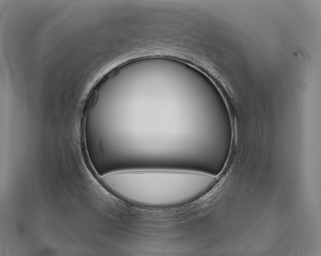 X0000112051500200908040939