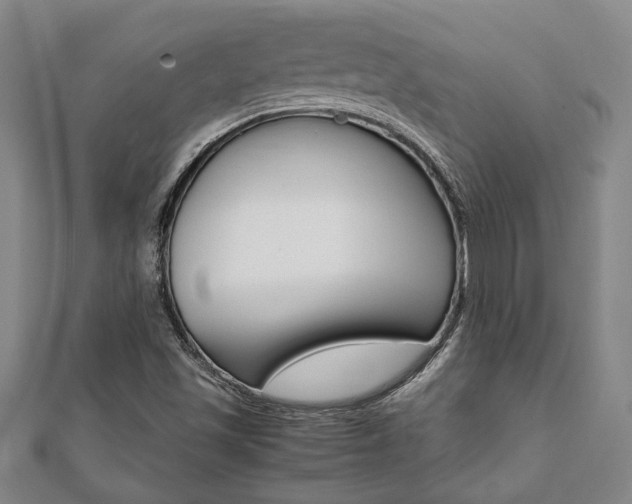 X0000112051501200908040939