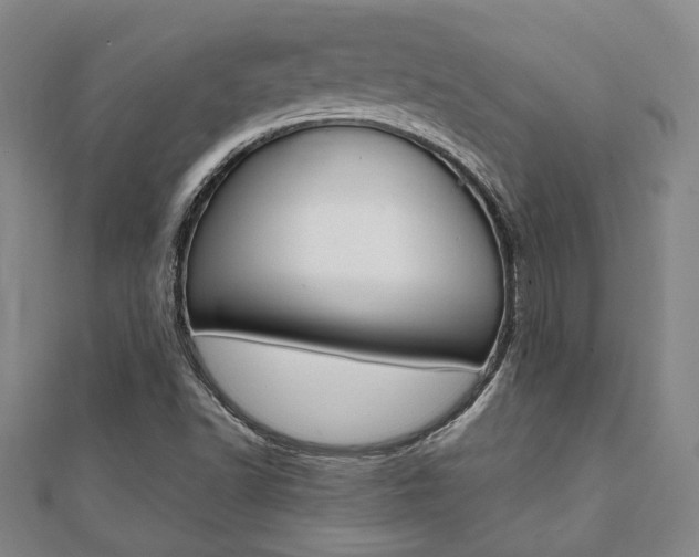 X0000112051502200908040939