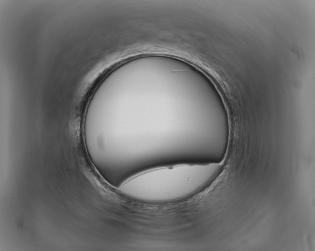 X0000112051503200908040939