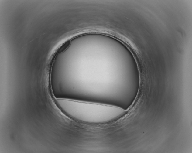 X0000112051504200908040939