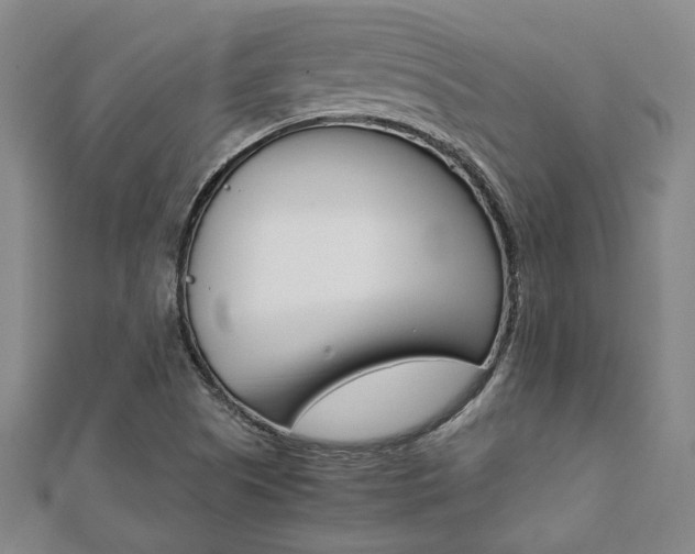 X0000112051505200908040939