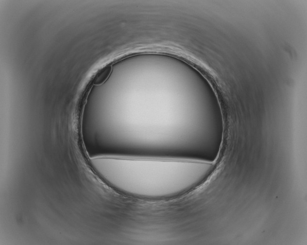 X0000112051506200908040939