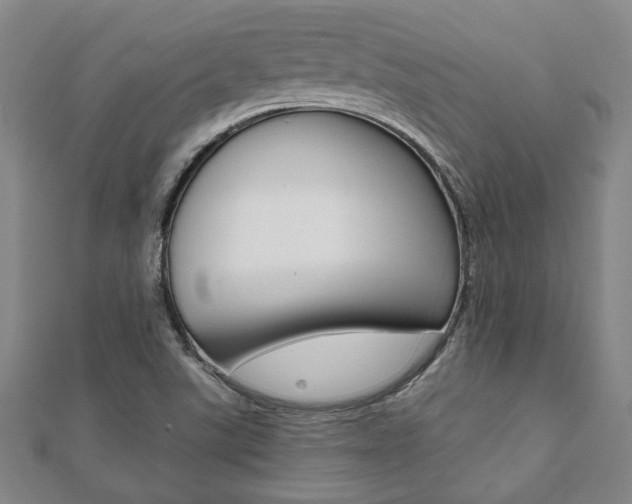 X0000112051507200908040939