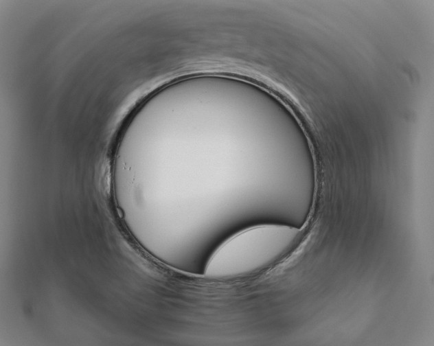X0000112051509200908040939