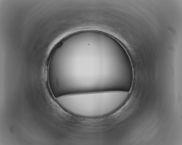 X0000112051510200908040939