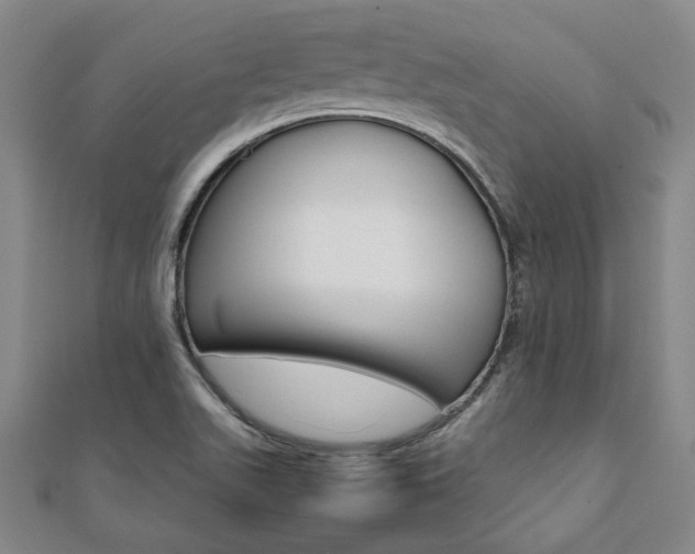 X0000112051511200908040939