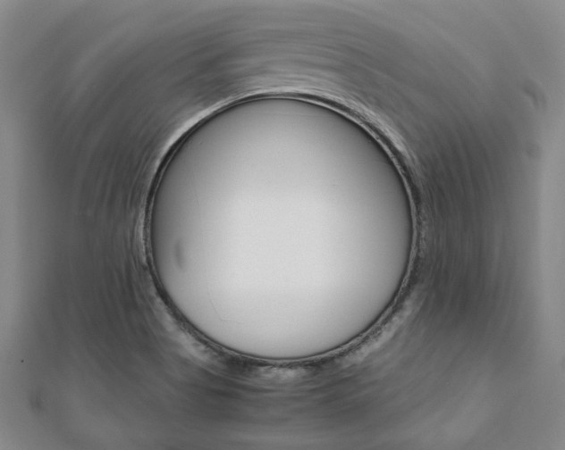 X0000112051513200908040939